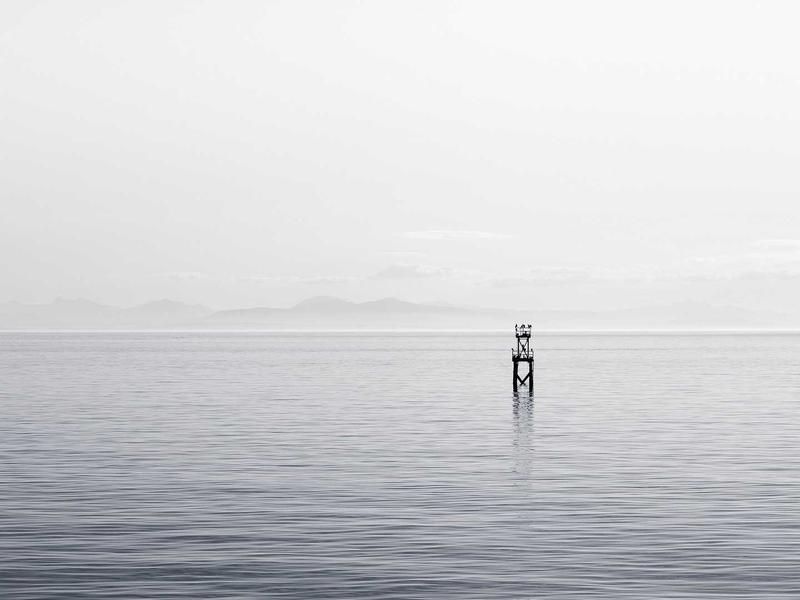 墨染流年<br>efewuuh.cn 书法金石韵味